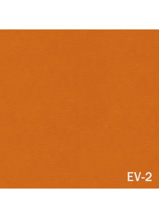 450_EV_2-508x696